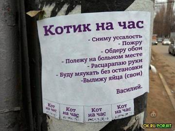 https://upforme.ru/uploads/0000/d3/70/4918/t687767.jpg