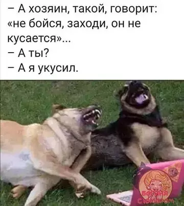 https://upforme.ru/uploads/0000/d3/70/4918/t769657.webp