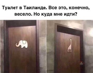 https://upforme.ru/uploads/0000/d3/70/4918/t79806.jpg