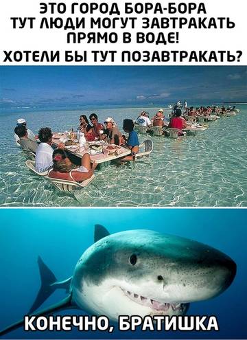 https://upforme.ru/uploads/0000/d3/70/4918/t82115.jpg