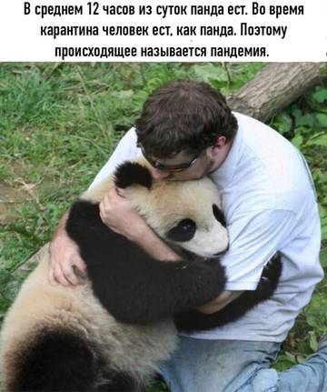 https://upforme.ru/uploads/0000/d3/70/4918/t922727.jpg