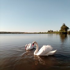 https://upforme.ru/uploads/0000/d3/70/4918/t931133.jpg
