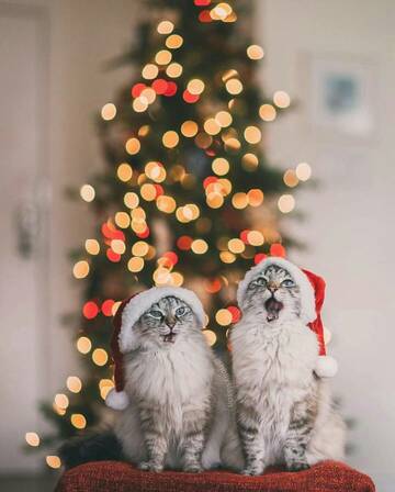 https://upforme.ru/uploads/0000/d3/b0/1575/t559857.jpg