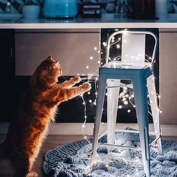 https://upforme.ru/uploads/0000/d3/b0/1575/t809777.jpg