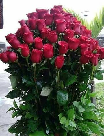 https://upforme.ru/uploads/0000/f0/5d/239/t626779.jpg