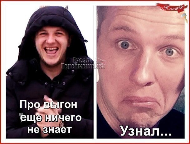 https://upforme.ru/uploads/0001/15/60/1059/16583.jpg