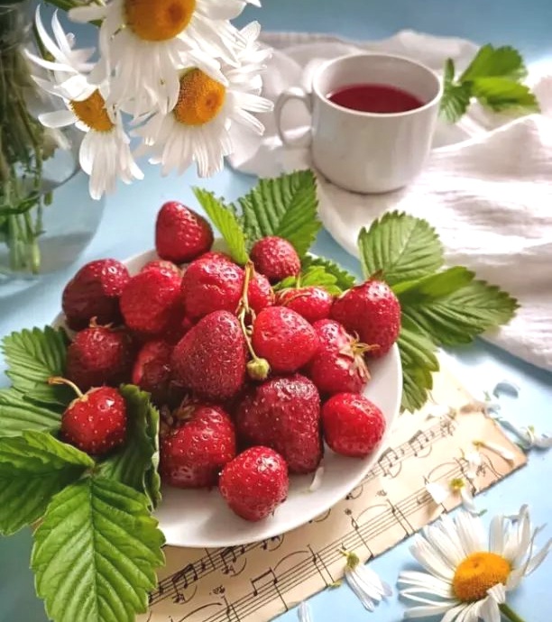 https://upforme.ru/uploads/0001/15/60/1059/681982.jpg
