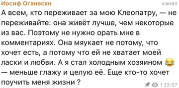 https://upforme.ru/uploads/0001/15/60/1059/t894537.webp