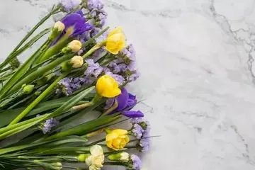 https://upforme.ru/uploads/0001/15/60/1072/t160687.webp