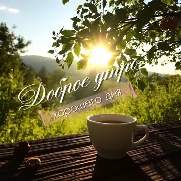 https://upforme.ru/uploads/0001/15/60/1072/t311257.webp