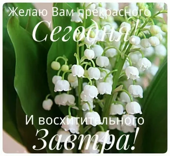 https://upforme.ru/uploads/0001/15/60/1072/t317960.webp