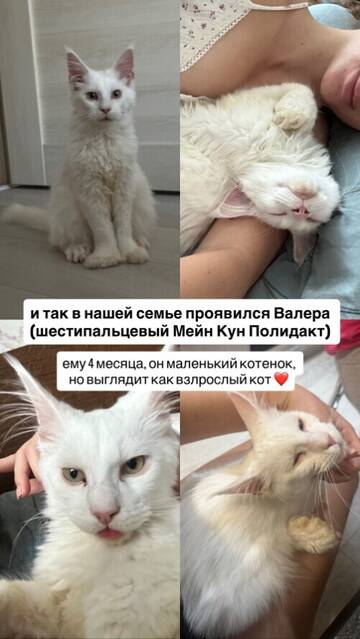 https://upforme.ru/uploads/0001/15/60/1072/t418010.jpg
