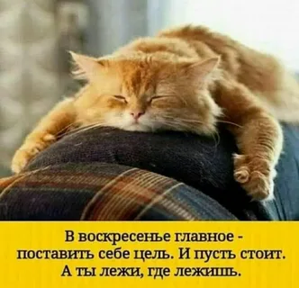 https://upforme.ru/uploads/0001/15/60/1072/t558129.webp
