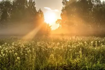 https://upforme.ru/uploads/0001/15/60/1072/t68079.webp