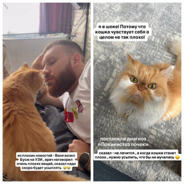 https://upforme.ru/uploads/0001/15/60/1072/t928209.jpg