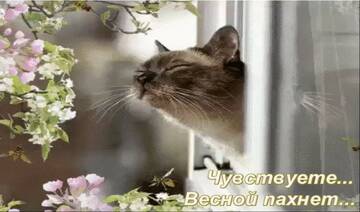 https://upforme.ru/uploads/0001/15/60/1072/t982520.jpg