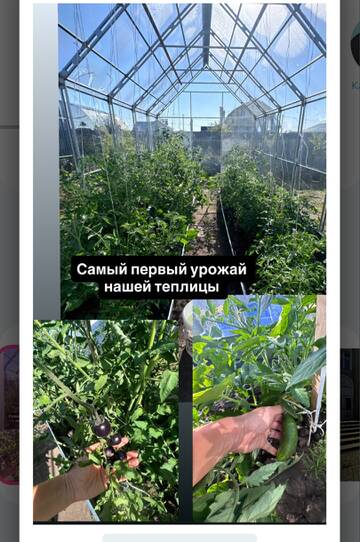 https://upforme.ru/uploads/0001/15/60/1091/t494762.jpg