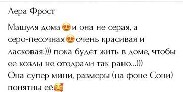 https://upforme.ru/uploads/0001/15/60/1091/t54936.jpg