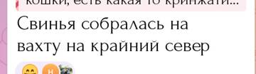 https://upforme.ru/uploads/0001/15/60/1091/t831384.jpg