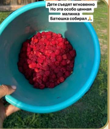 https://upforme.ru/uploads/0001/15/60/1091/t871874.jpg