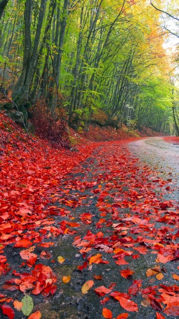 https://upforme.ru/uploads/0001/15/60/39/t610699.jpg