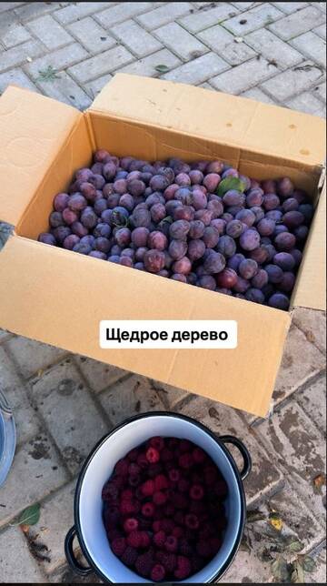https://upforme.ru/uploads/0001/15/60/824/t454500.jpg