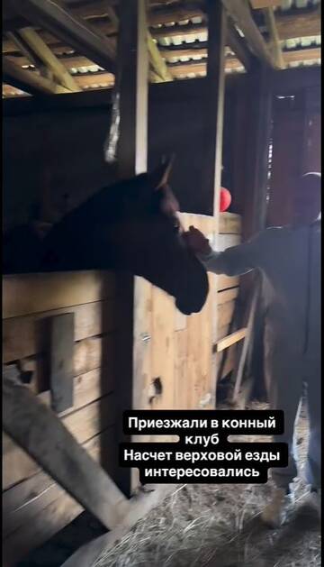 https://upforme.ru/uploads/0001/15/60/824/t551008.jpg