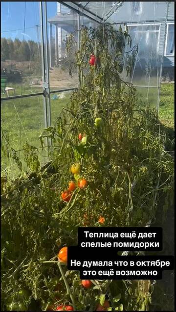 https://upforme.ru/uploads/0001/15/60/824/t953894.jpg