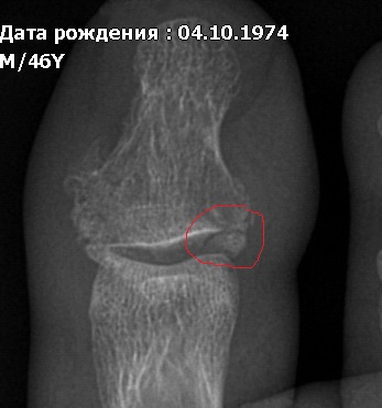 https://upforme.ru/uploads/0001/26/83/2870/t389621.jpg