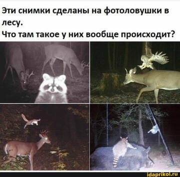 https://upforme.ru/uploads/0001/2c/38/2/t104495.jpg