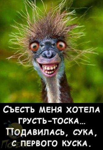 https://upforme.ru/uploads/0001/2c/38/2/t175124.jpg