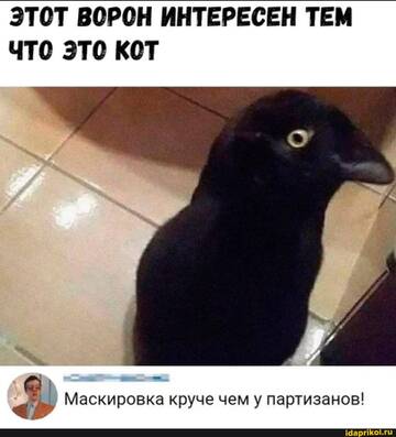 https://upforme.ru/uploads/0001/2c/38/2/t252446.jpg