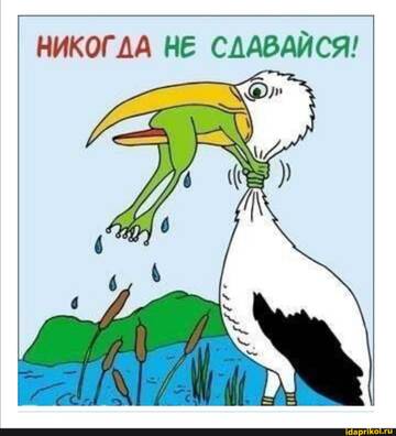 https://upforme.ru/uploads/0001/2c/38/2/t292841.jpg