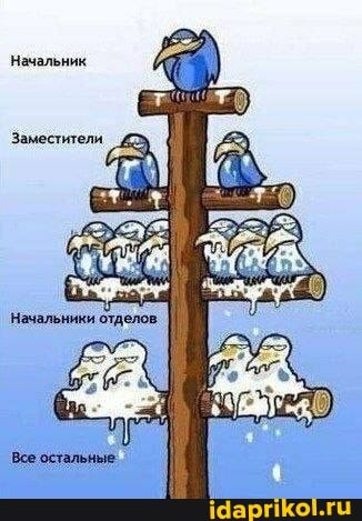 https://upforme.ru/uploads/0001/2c/38/2/t627740.jpg