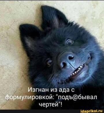 https://upforme.ru/uploads/0001/2c/38/2/t739774.jpg