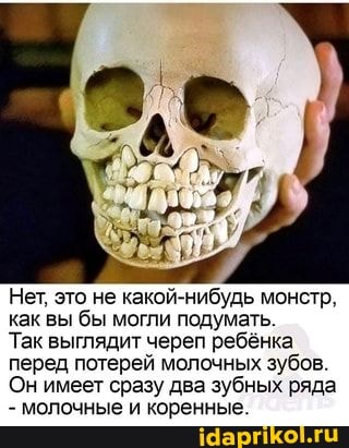 https://upforme.ru/uploads/0001/2c/38/2/t794915.jpg