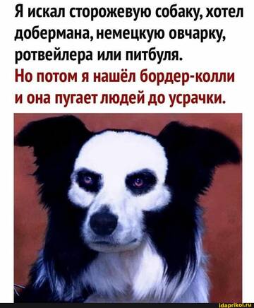 https://upforme.ru/uploads/0001/2c/38/2/t851170.jpg