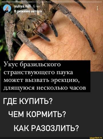 https://upforme.ru/uploads/0001/2c/38/2/t872631.jpg