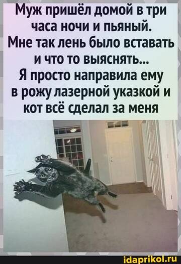 https://upforme.ru/uploads/0001/2c/38/2/t89554.jpg
