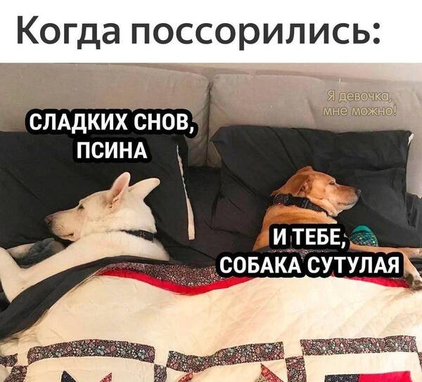 https://upforme.ru/uploads/0001/2e/0f/143/t177024.jpg