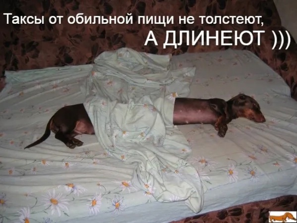 https://upforme.ru/uploads/0001/2e/0f/143/t22222.jpg