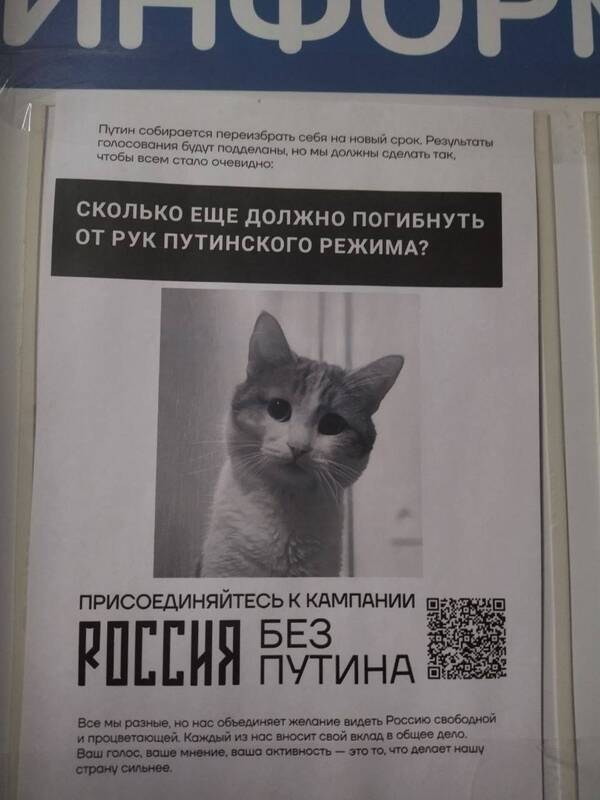 https://upforme.ru/uploads/0001/2e/0f/143/t400780.jpg
