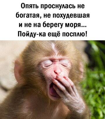https://upforme.ru/uploads/0001/2e/0f/2/t625340.jpg