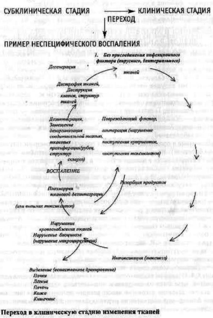 https://upforme.ru/uploads/0001/48/78/1903/140187.jpg
