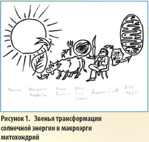 https://upforme.ru/uploads/0001/48/78/1903/661736.png