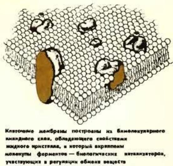 https://upforme.ru/uploads/0001/48/78/1903/744156.jpg