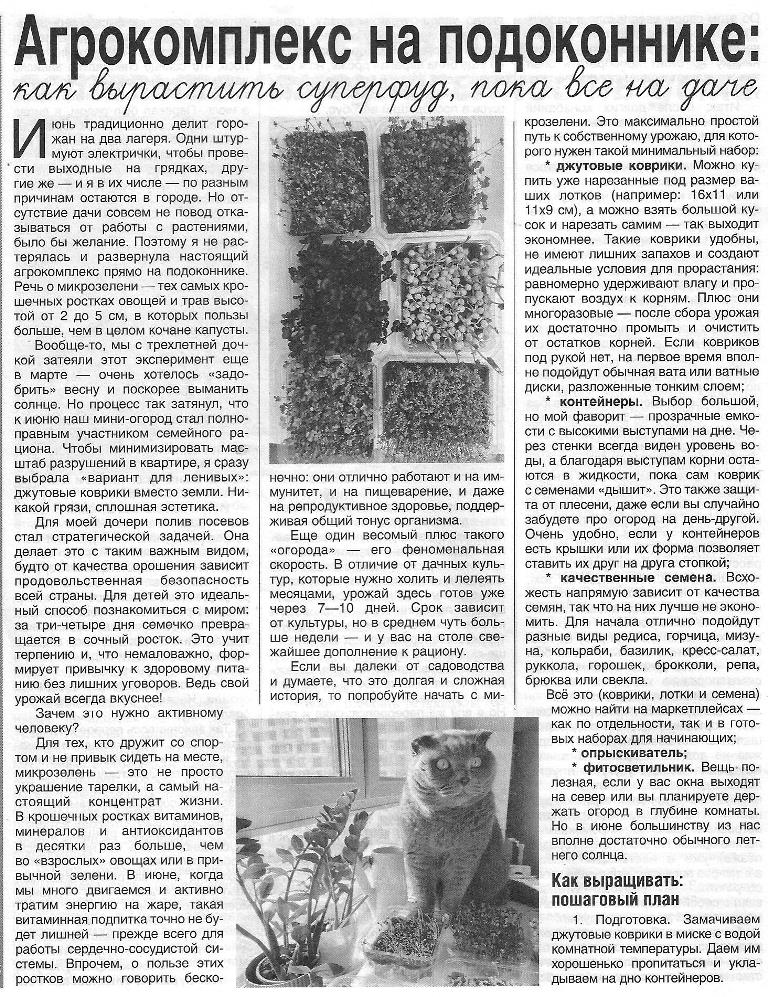 https://upforme.ru/uploads/0001/48/78/1903/829189.jpg
