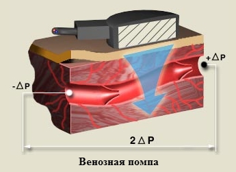 https://upforme.ru/uploads/0001/48/78/2003/501070.jpg