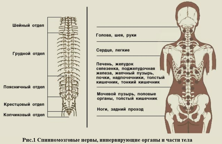 https://upforme.ru/uploads/0001/48/78/2003/662004.jpg