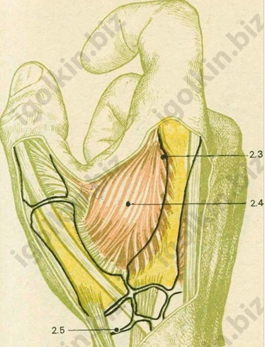https://upforme.ru/uploads/0001/48/78/2003/85977.jpg